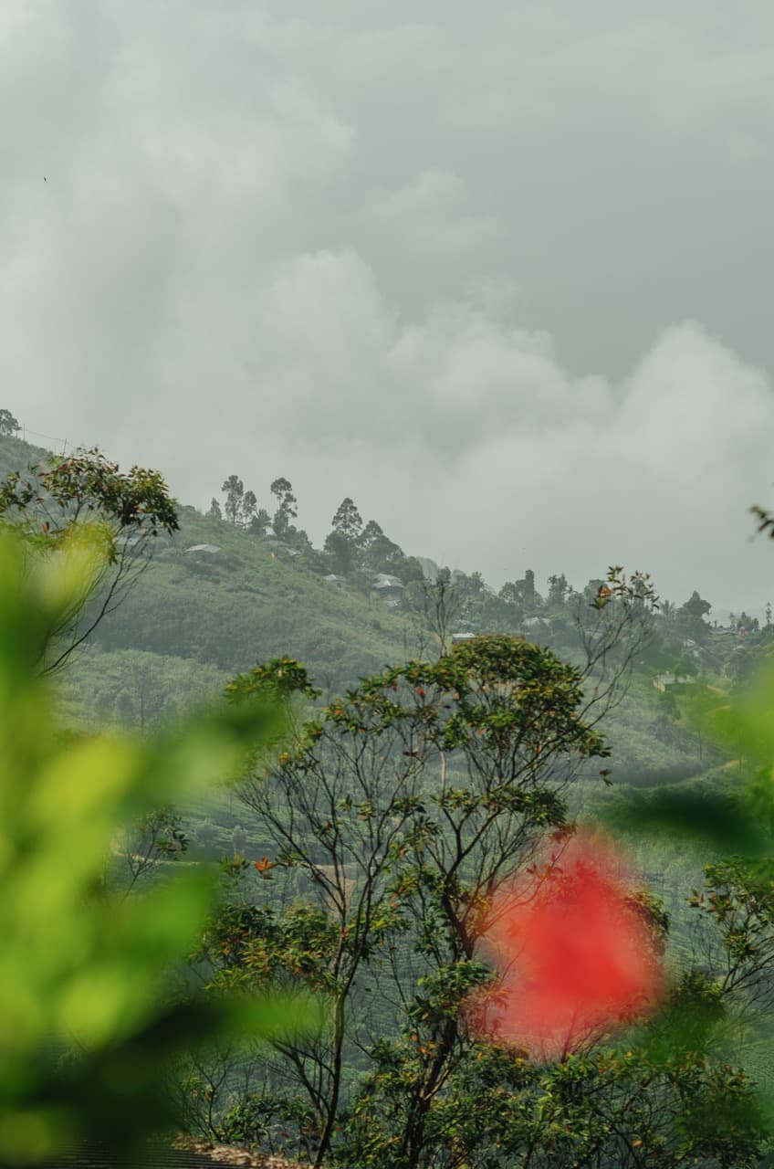 Превью Sri Lanka 2022